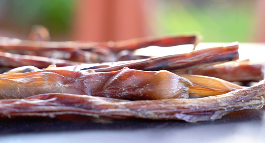 The Power of Single-Ingredient Treats: 100% Pure Beef Bully Sticks