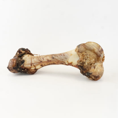 Dino Bone (Beef Shin Bone)