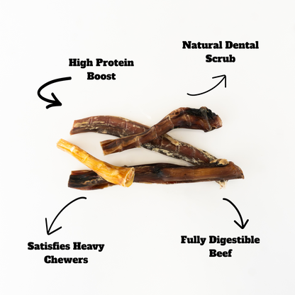 Jumbo Bully Sticks