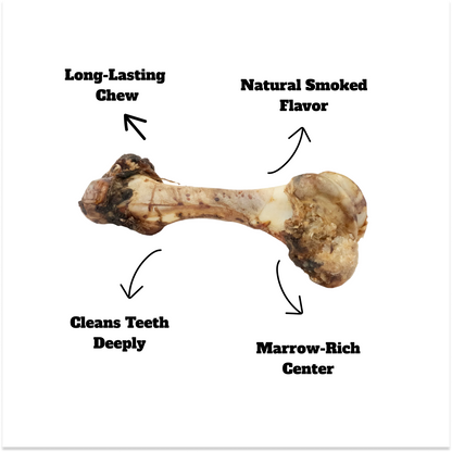 Dino Bone (Beef Shin Bone)